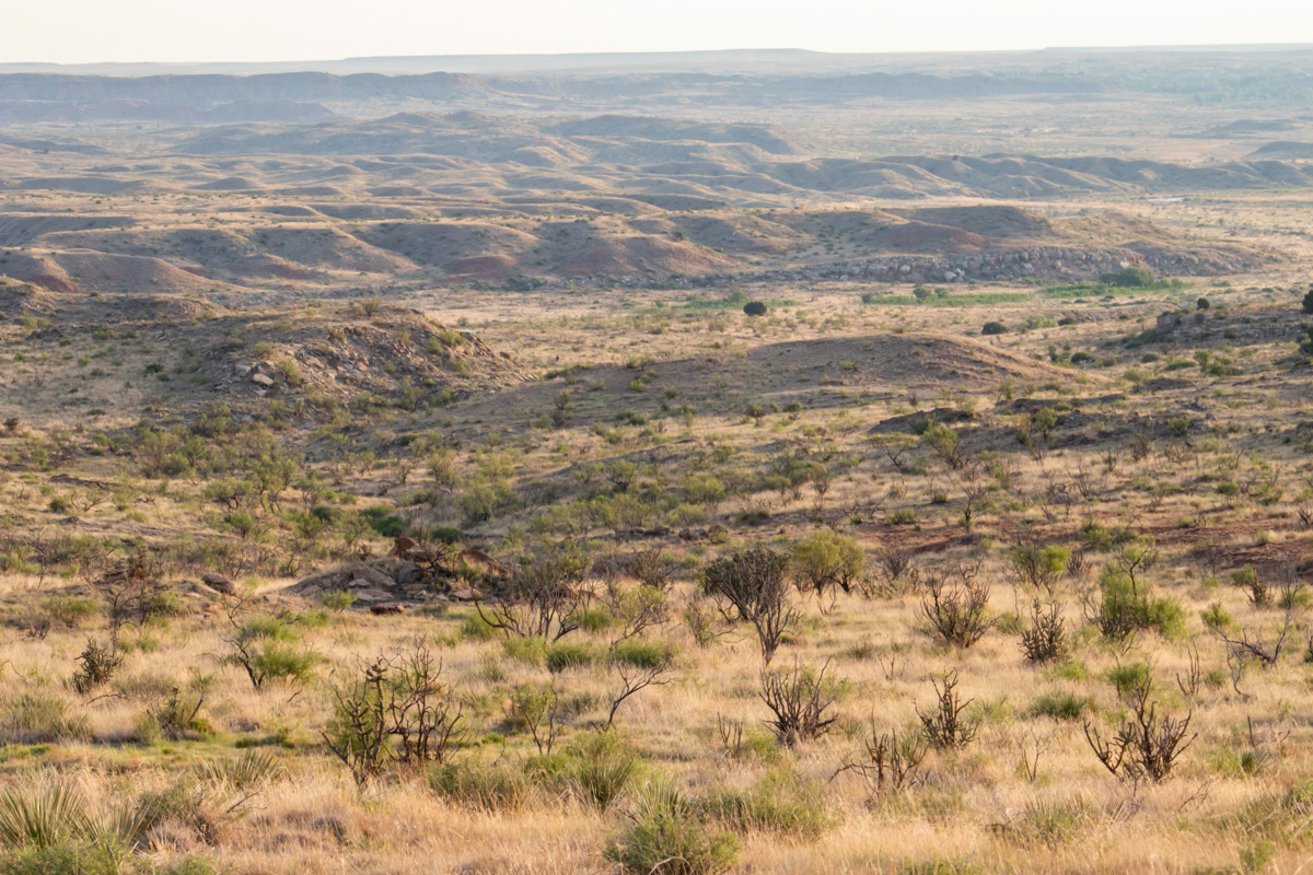 Lazy Arrow B Ranch, Valle De Oro, TX - Triangle Realty