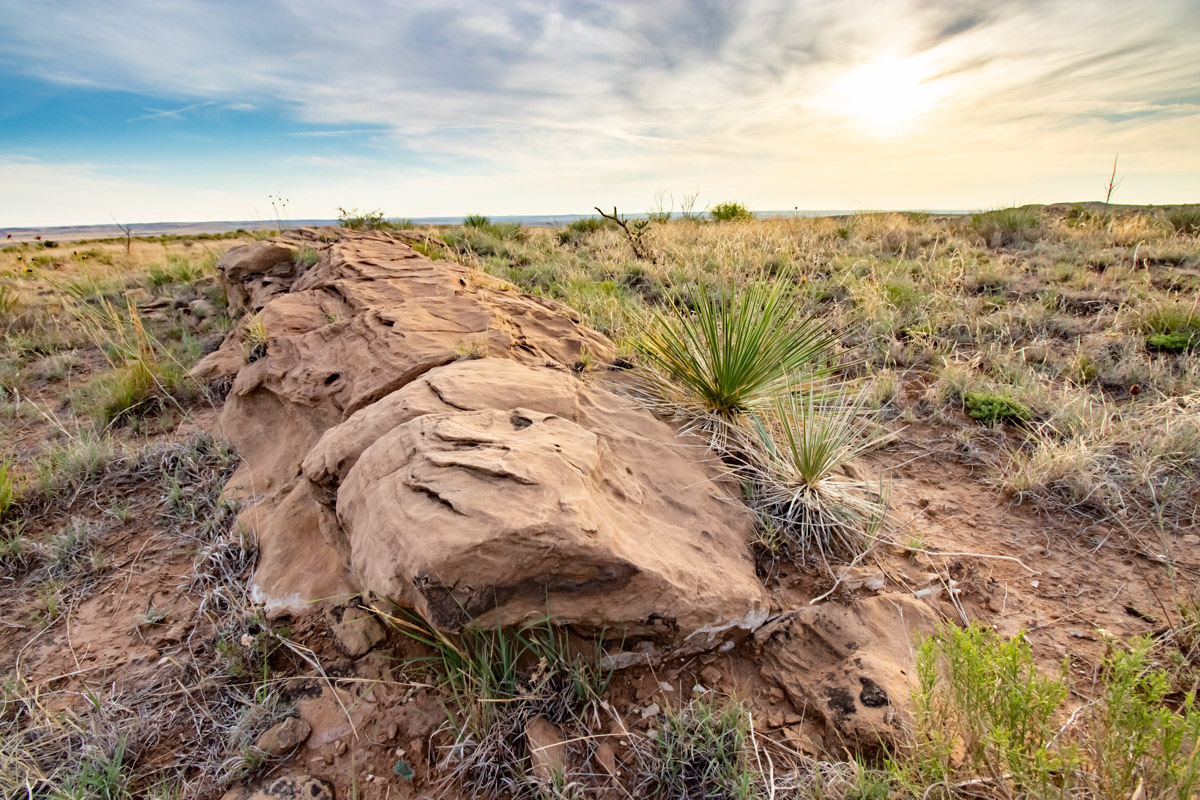 Lazy Arrow B Ranch, Valle De Oro, TX - Triangle Realty