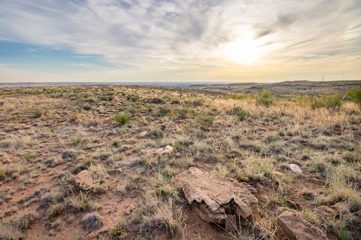 Lazy Arrow B Ranch, Valle De Oro, TX - Triangle Realty