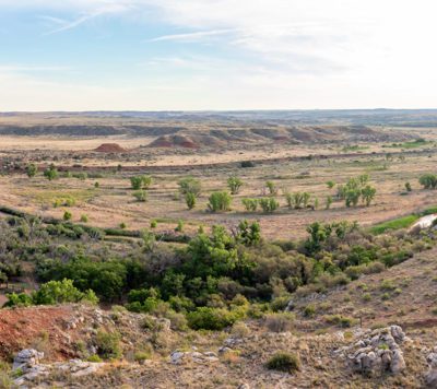 Lazy Arrow B Ranch, Valle De Oro, TX - Triangle Realty