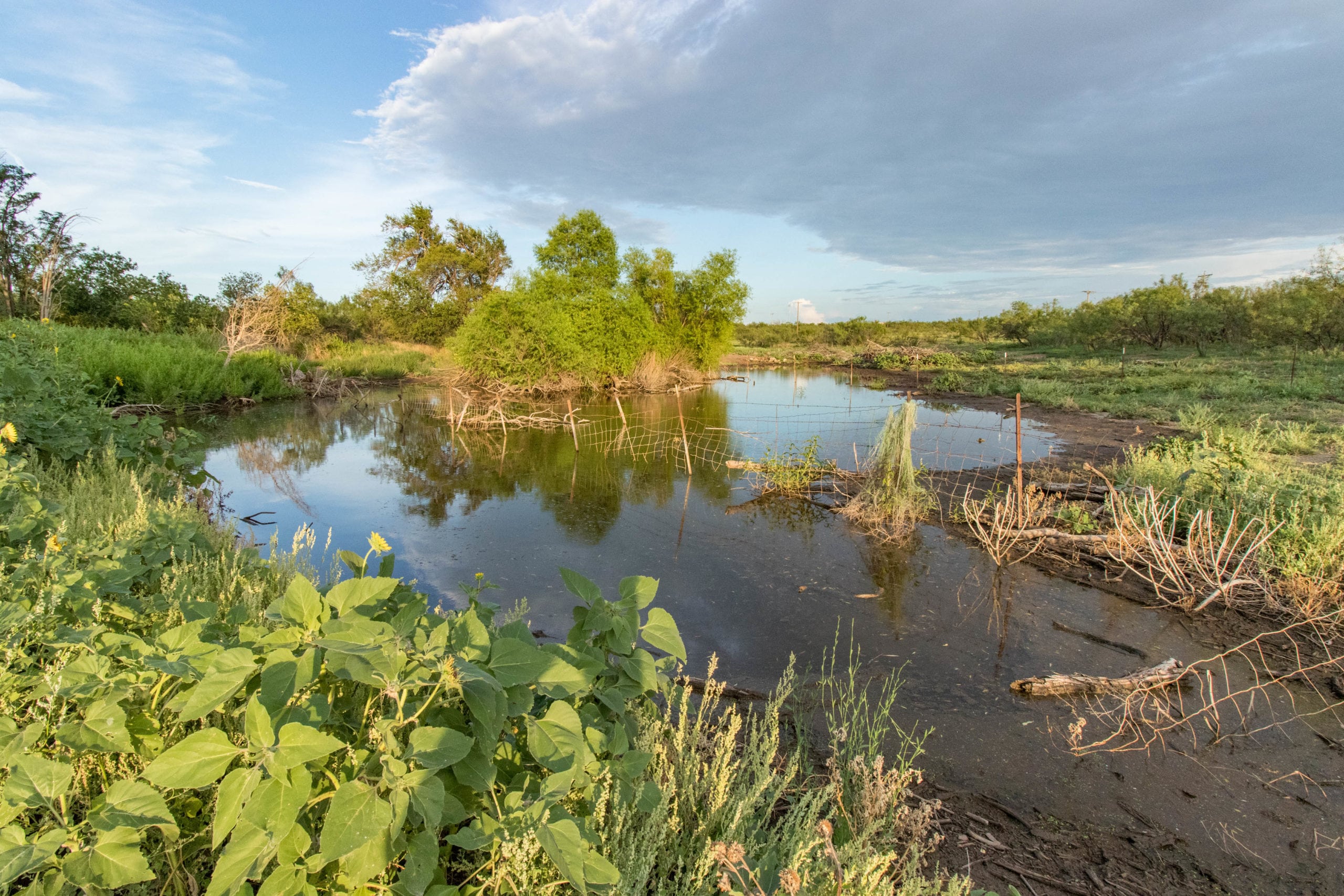 Broken Diamond Ranch, TX Triangle Realty